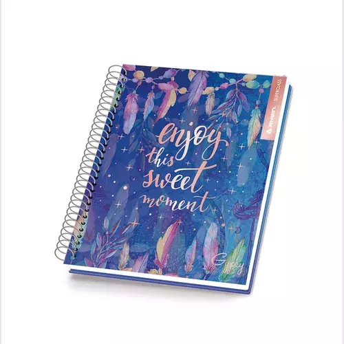 Pack 5 Cuadernos Gipsy Rhein Medio Oficio 150 Hjs Tapa Dura-2