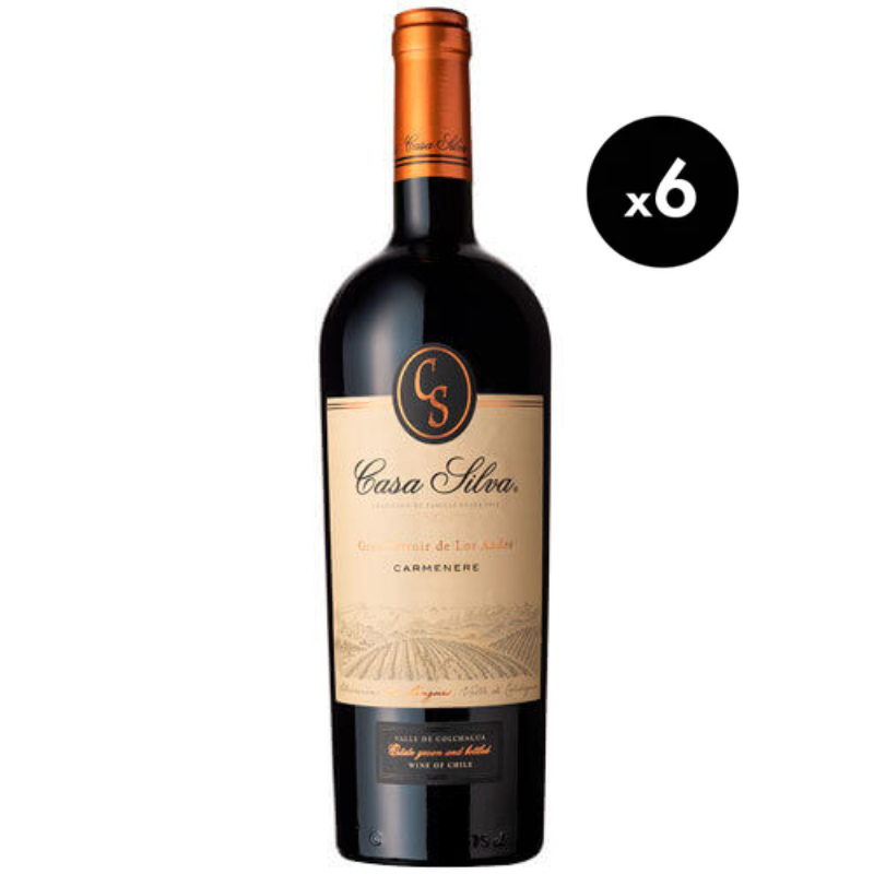 6 Vinos Casa Silva Gran Terroir de los Andes Carmenere 750cc-0