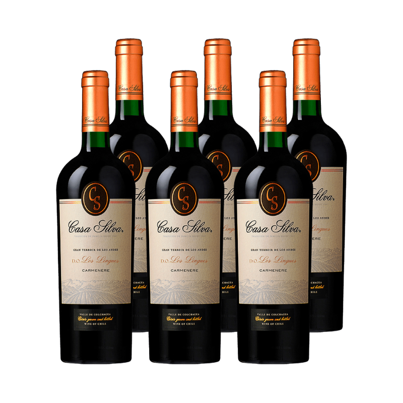 6 Vinos Casa Silva Gran Terroir de los Andes Carmenere 750cc-1