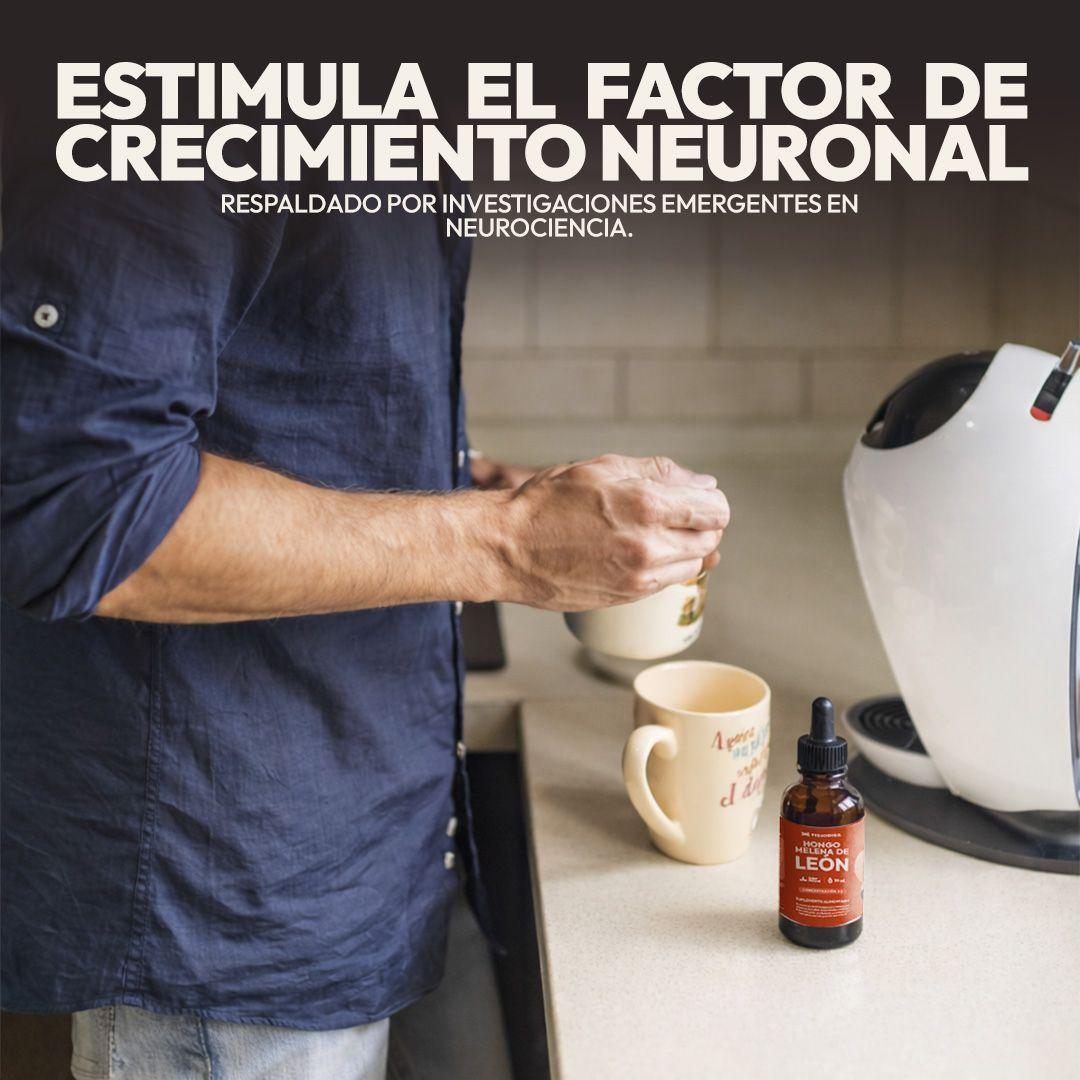Extracto de Melena de Leon Fisiobiss 30 ml Suplemento Alimenticio-5