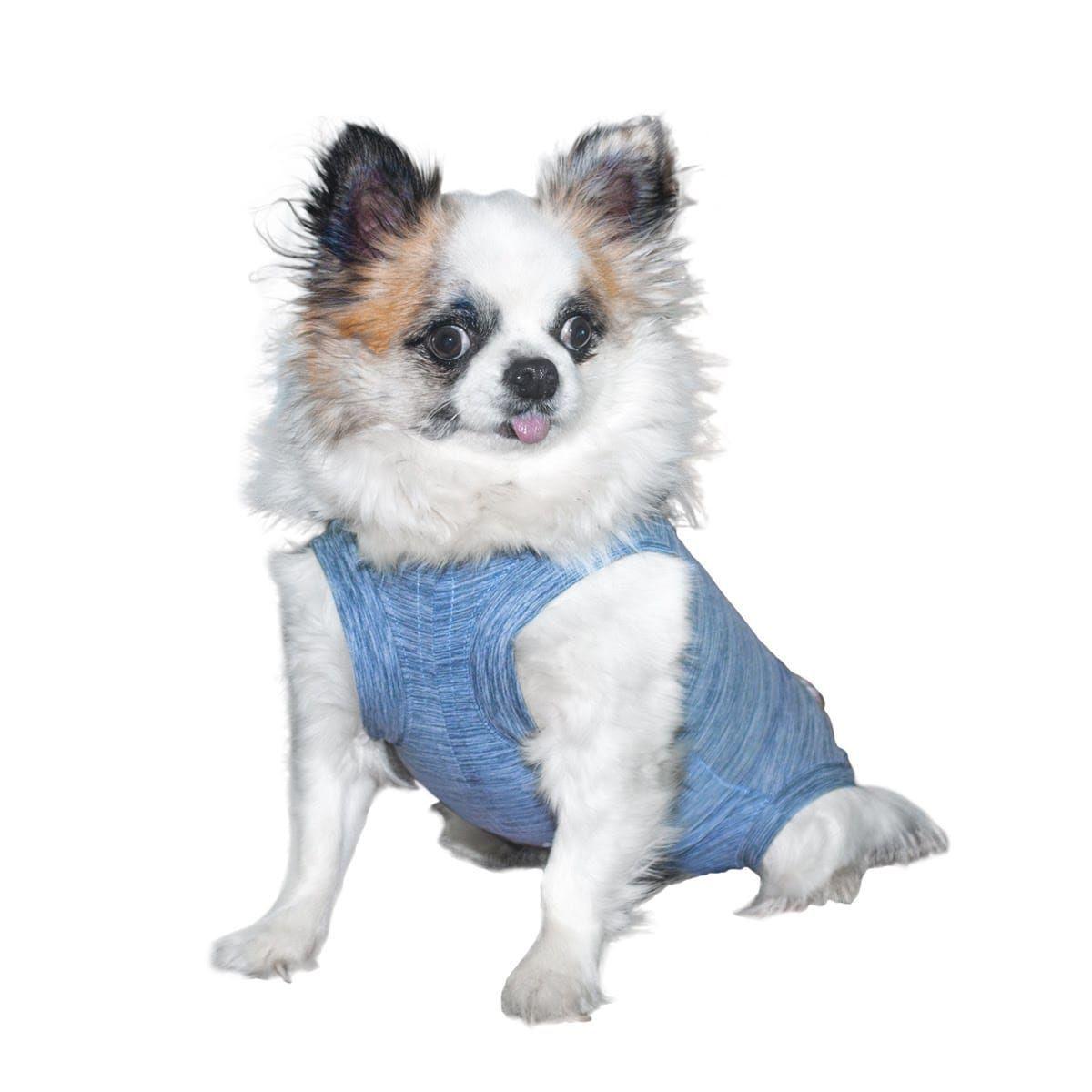 Body de cobre azul para perros talla 00, 0 y 1-0