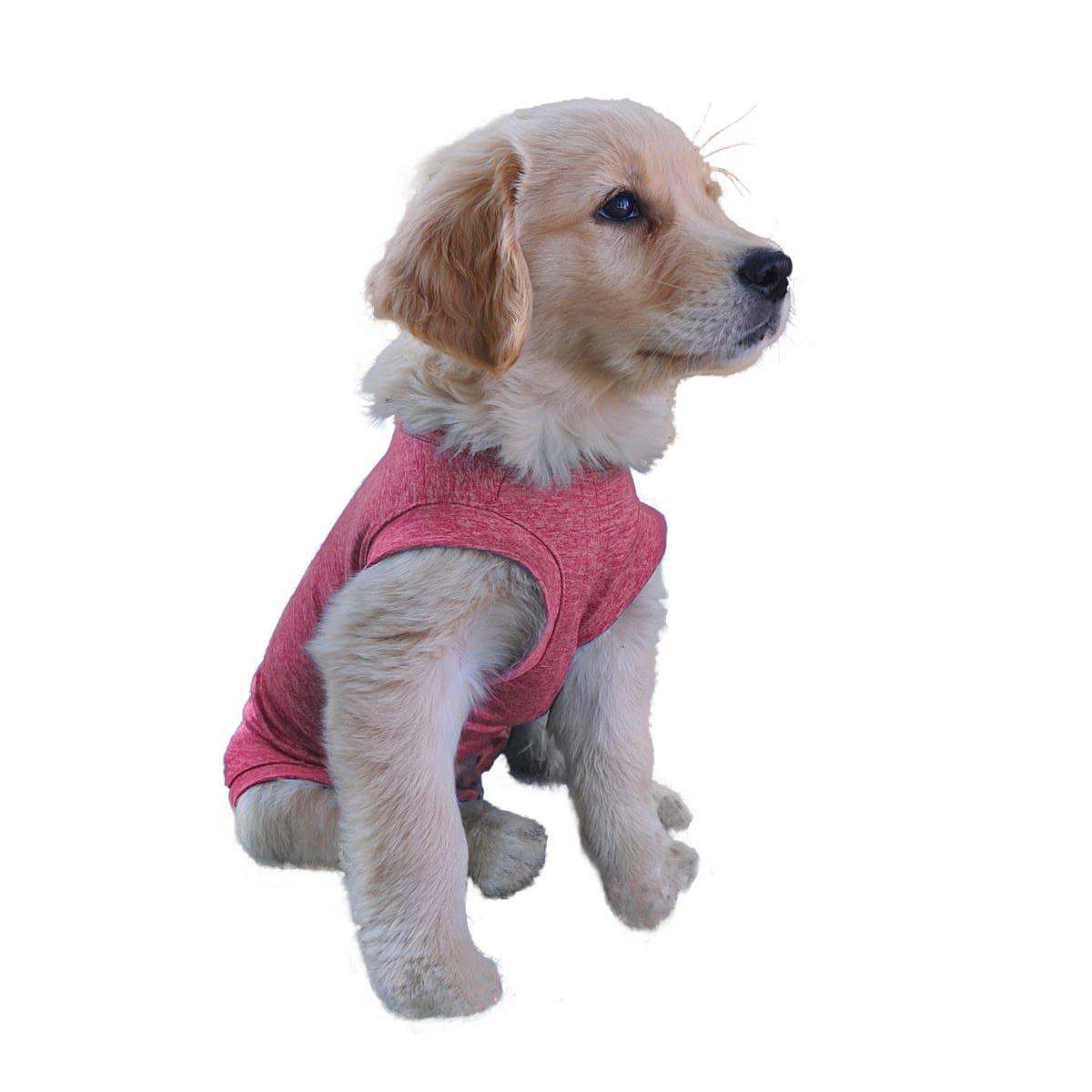 Body de cobre rojo para perros talla 2, 3 y 4-0