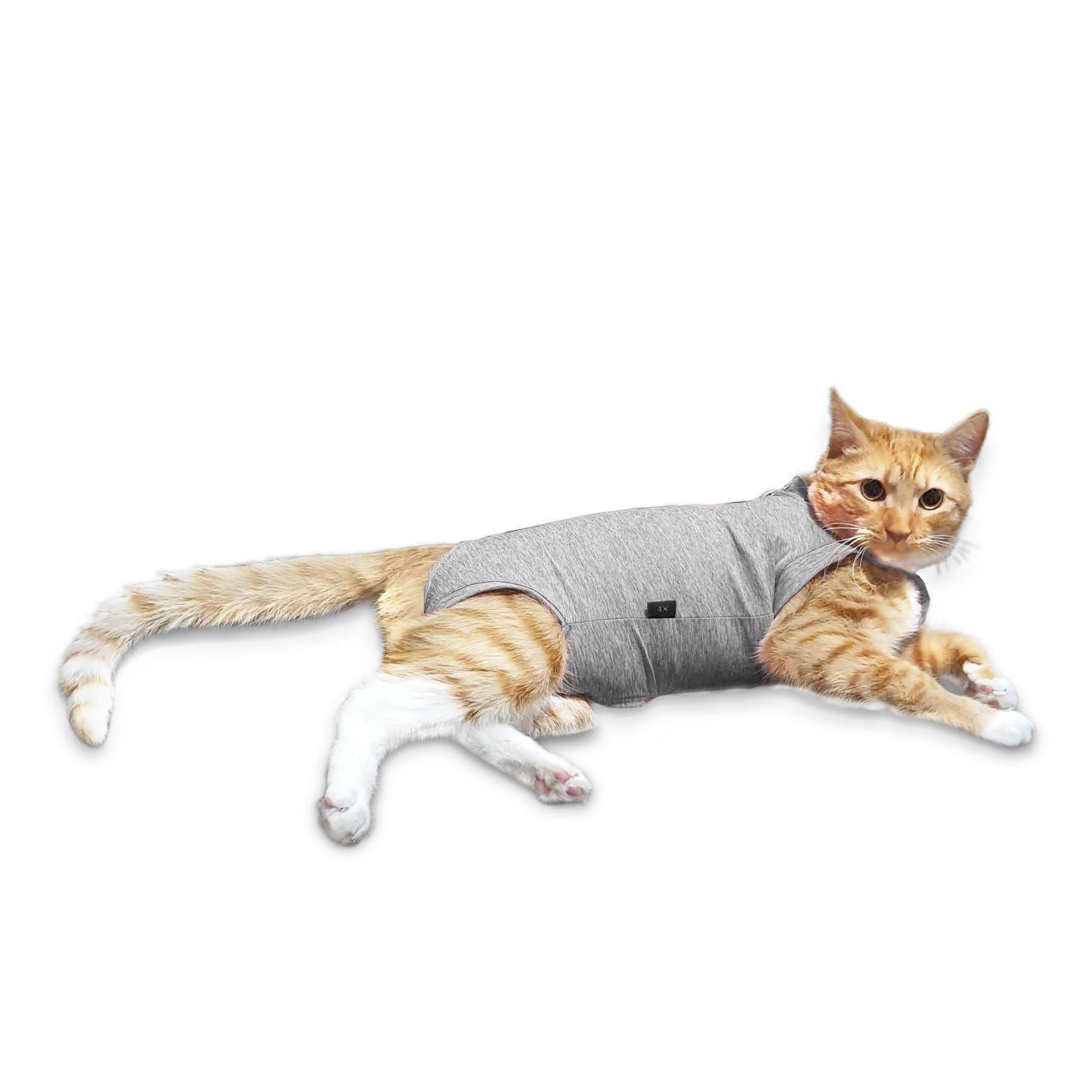 Body de cobre gris para gatos talla 2, 3 y 4-0