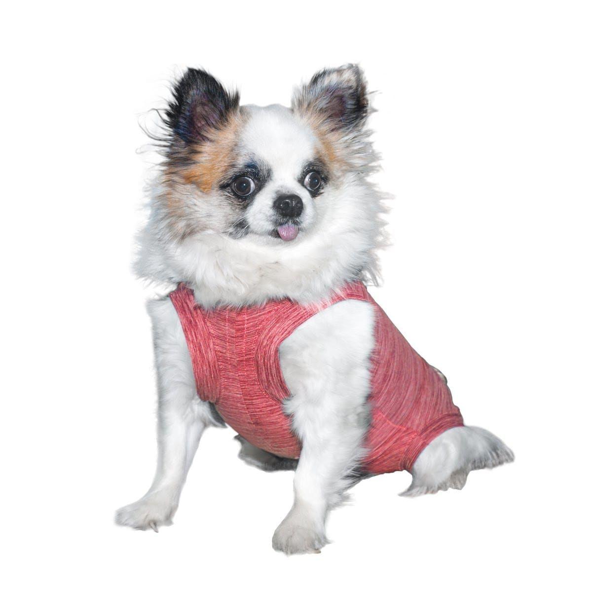 Body de cobre rojo para perros talla 00, 0 y 1-0