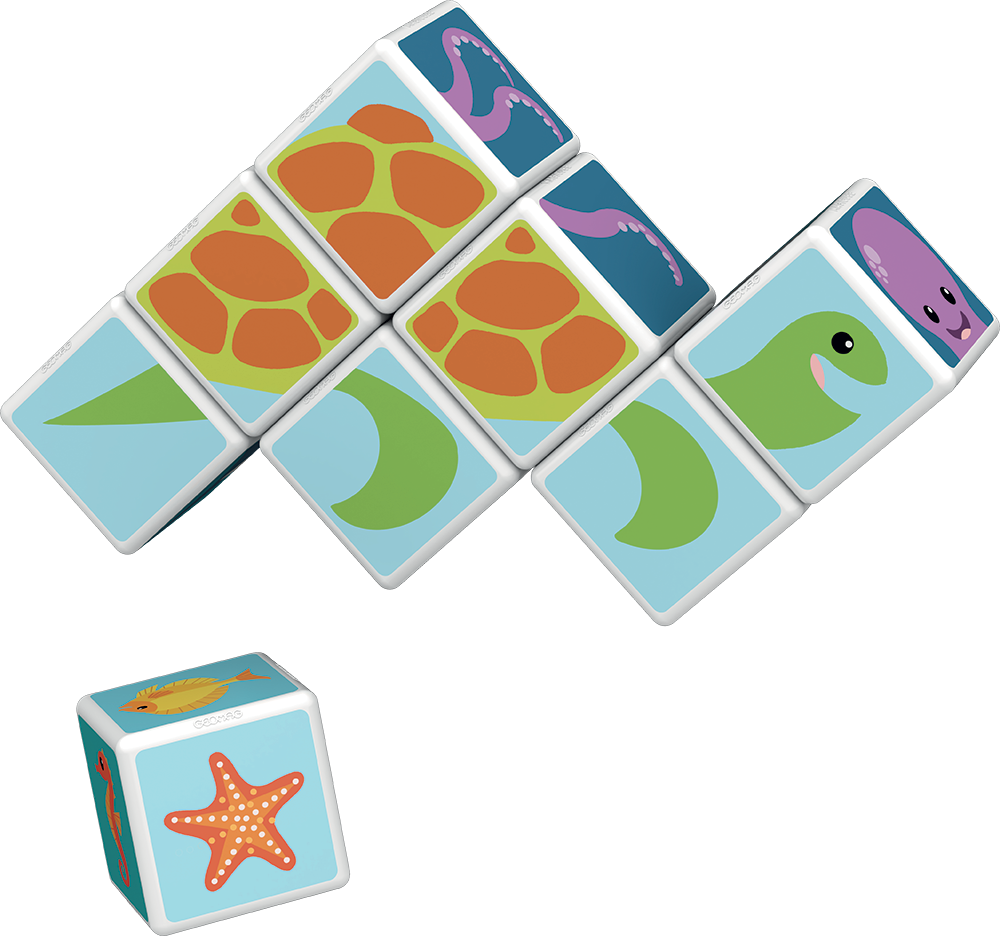Cubos Magneticos Animales del Mar 8 U-2