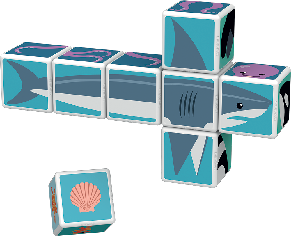 Cubos Magneticos Animales del Mar 8 U-3