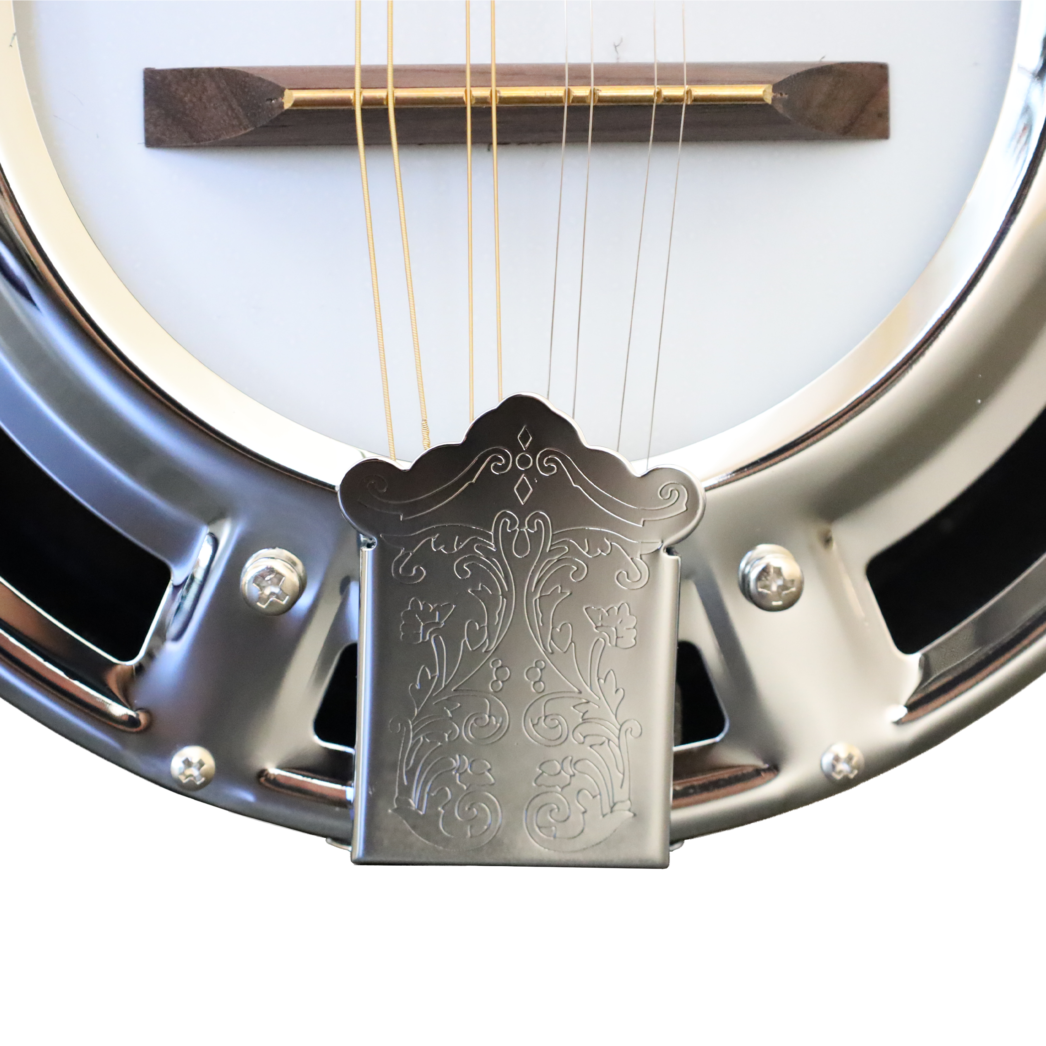 Banjo 8 Cuerdas BNJ-8STG Bilbao-2