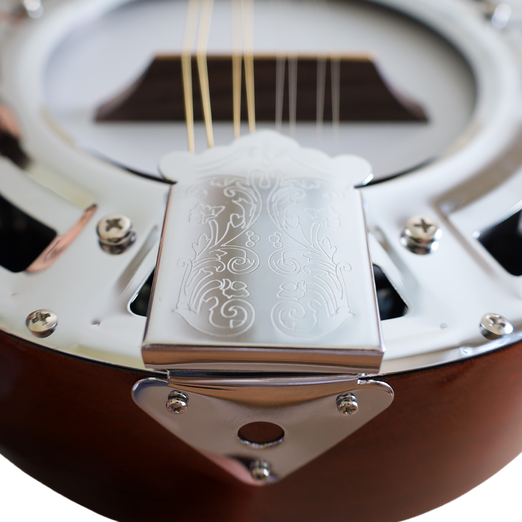 Banjo 8 Cuerdas BNJ-8STG Bilbao-5