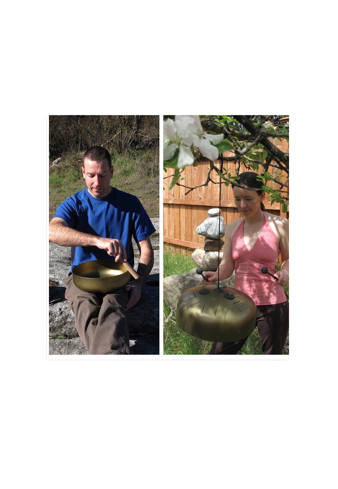 Tongue Hapi Drums Bell With Wooden Disc D Minor-1