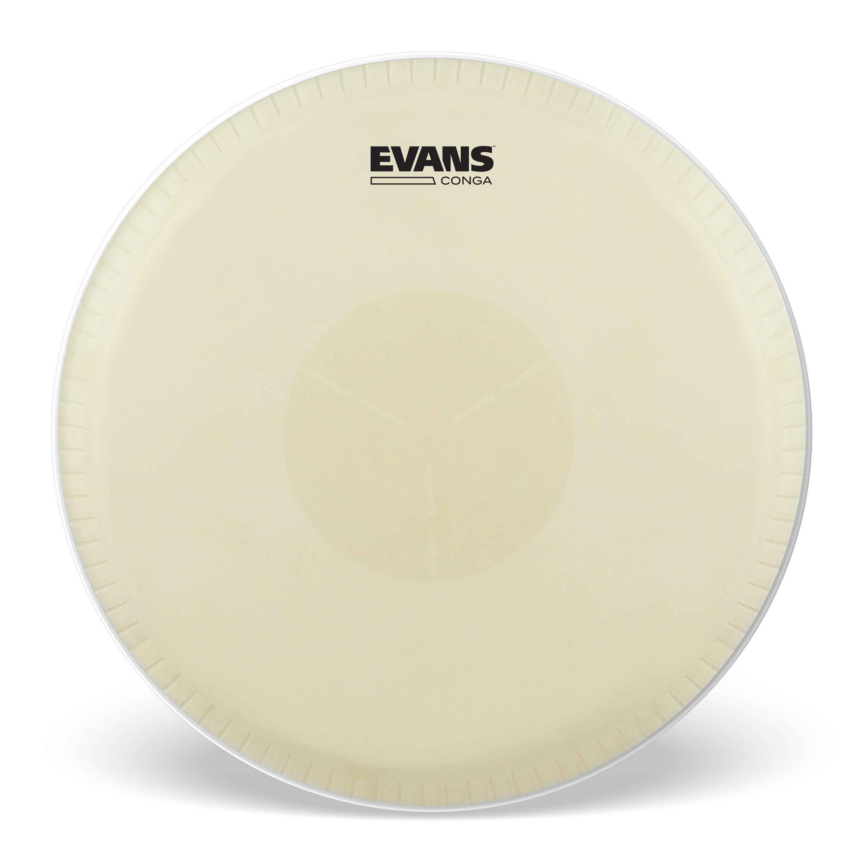 Parche Conga 11.75¨ TRI CTR Evans-0