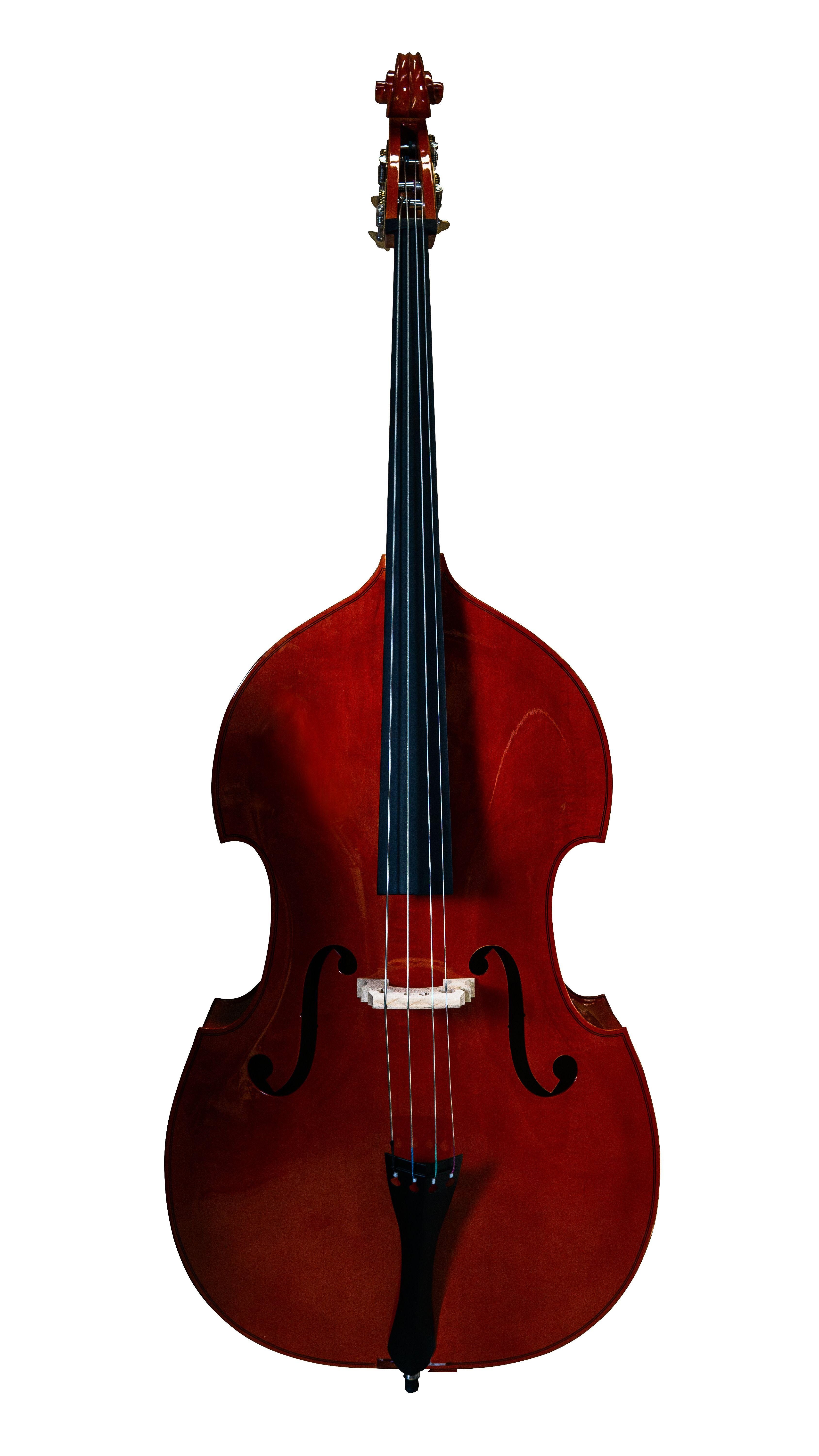 Contrabajo Deluxe Livorno 3/4 Lib-700-1