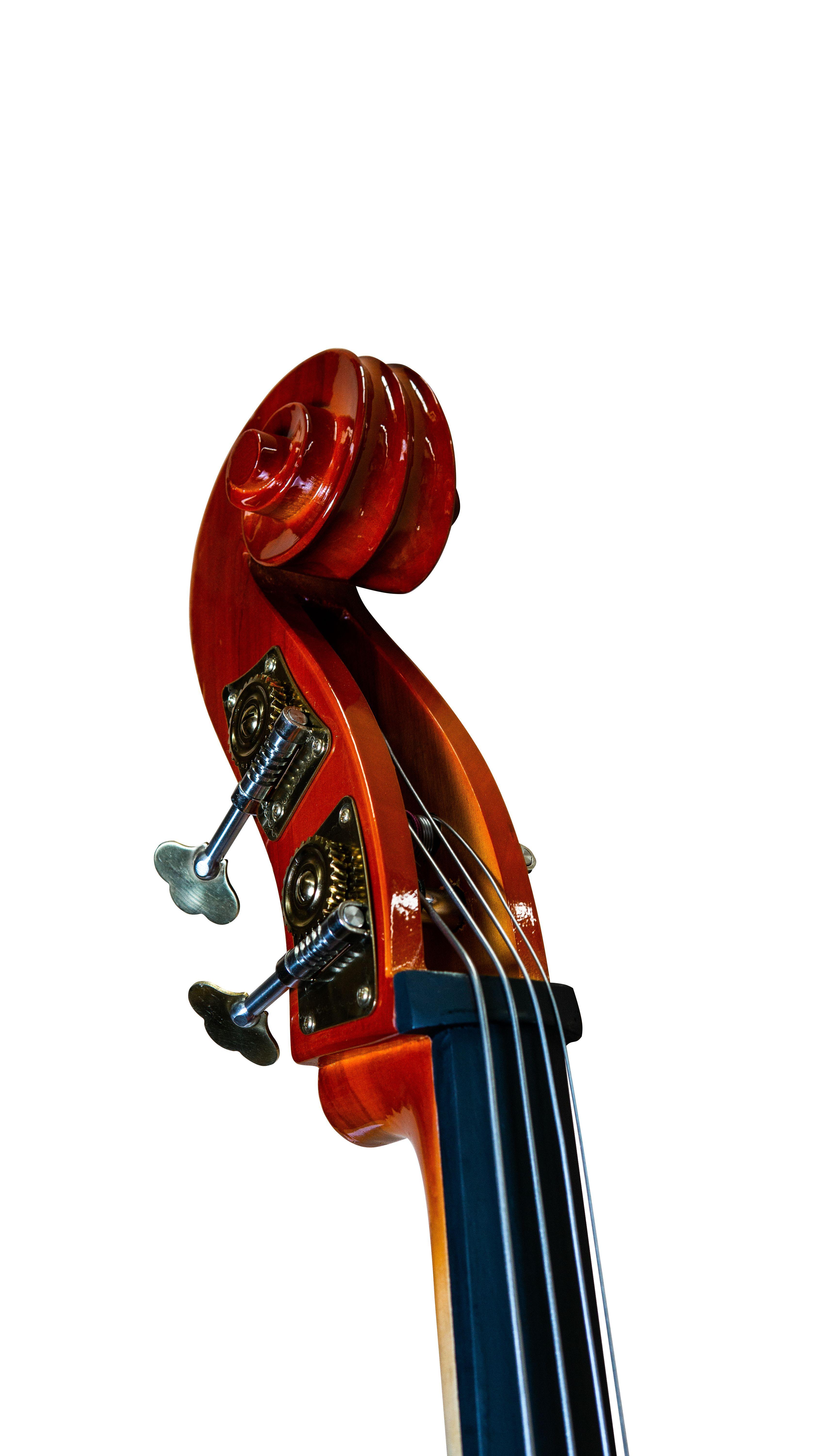 Contrabajo Deluxe Livorno 3/4 Lib-700-3