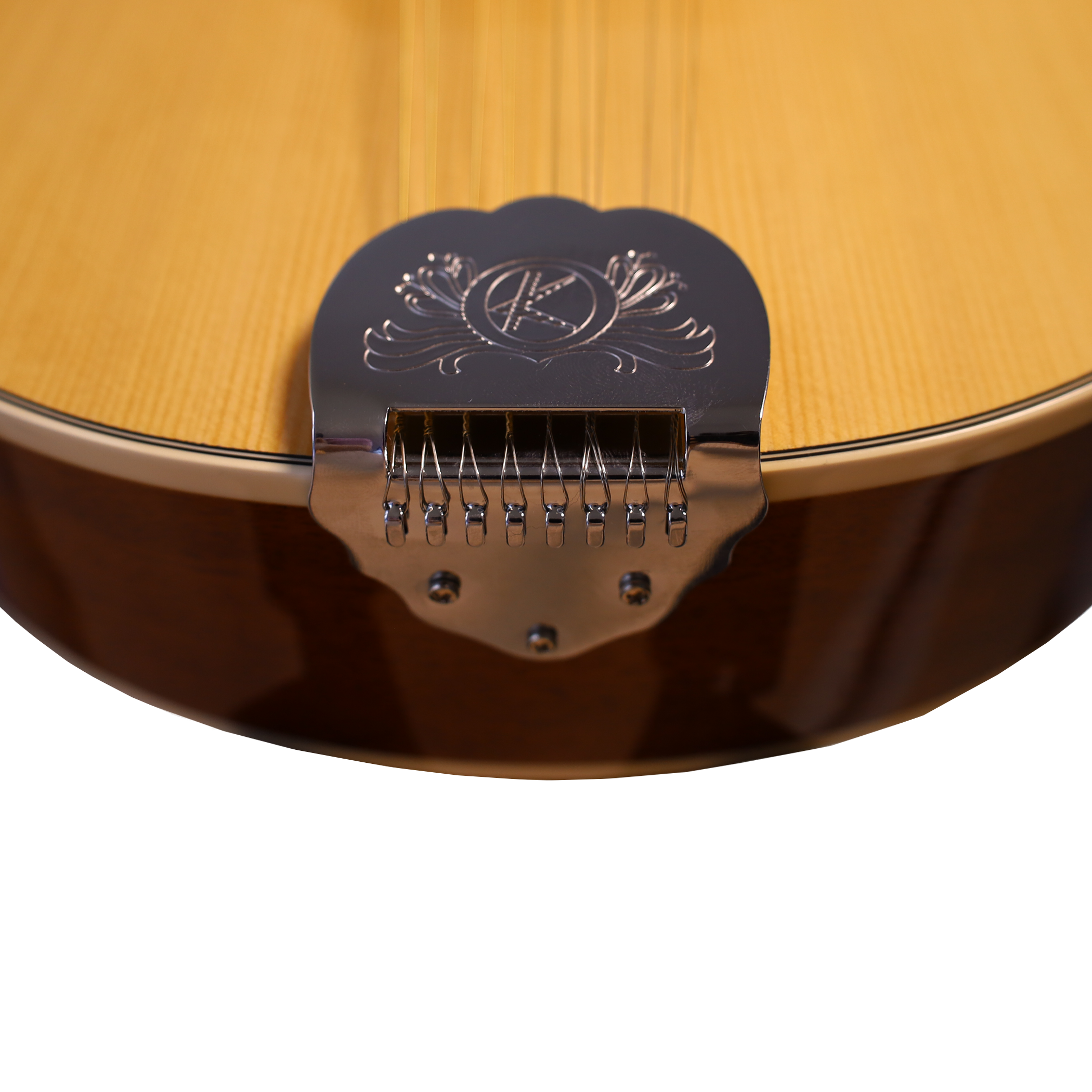 Mandolina 10 Cuerdas M10-STG Bilbao-5