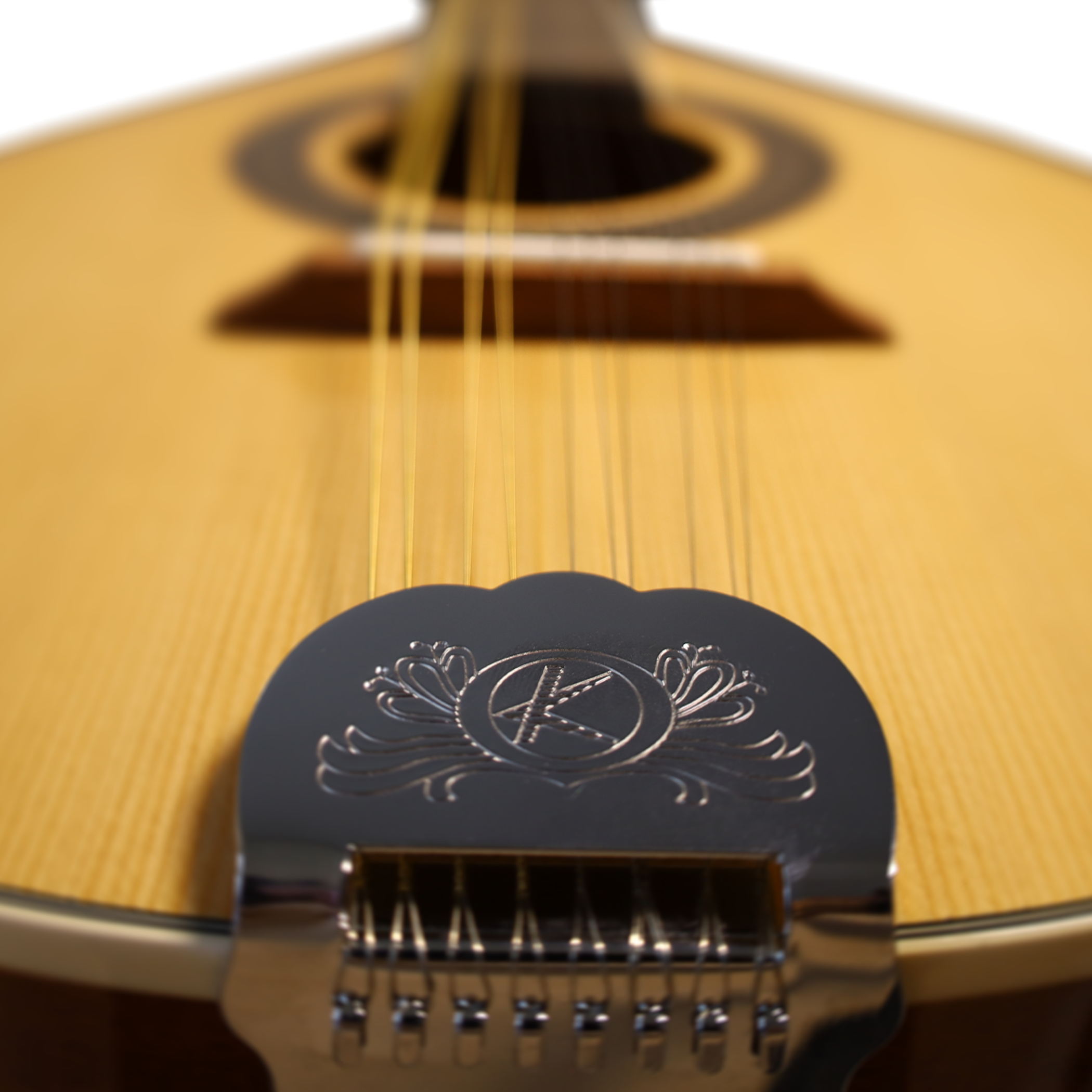 Mandolina 10 Cuerdas M10-STG Bilbao-6