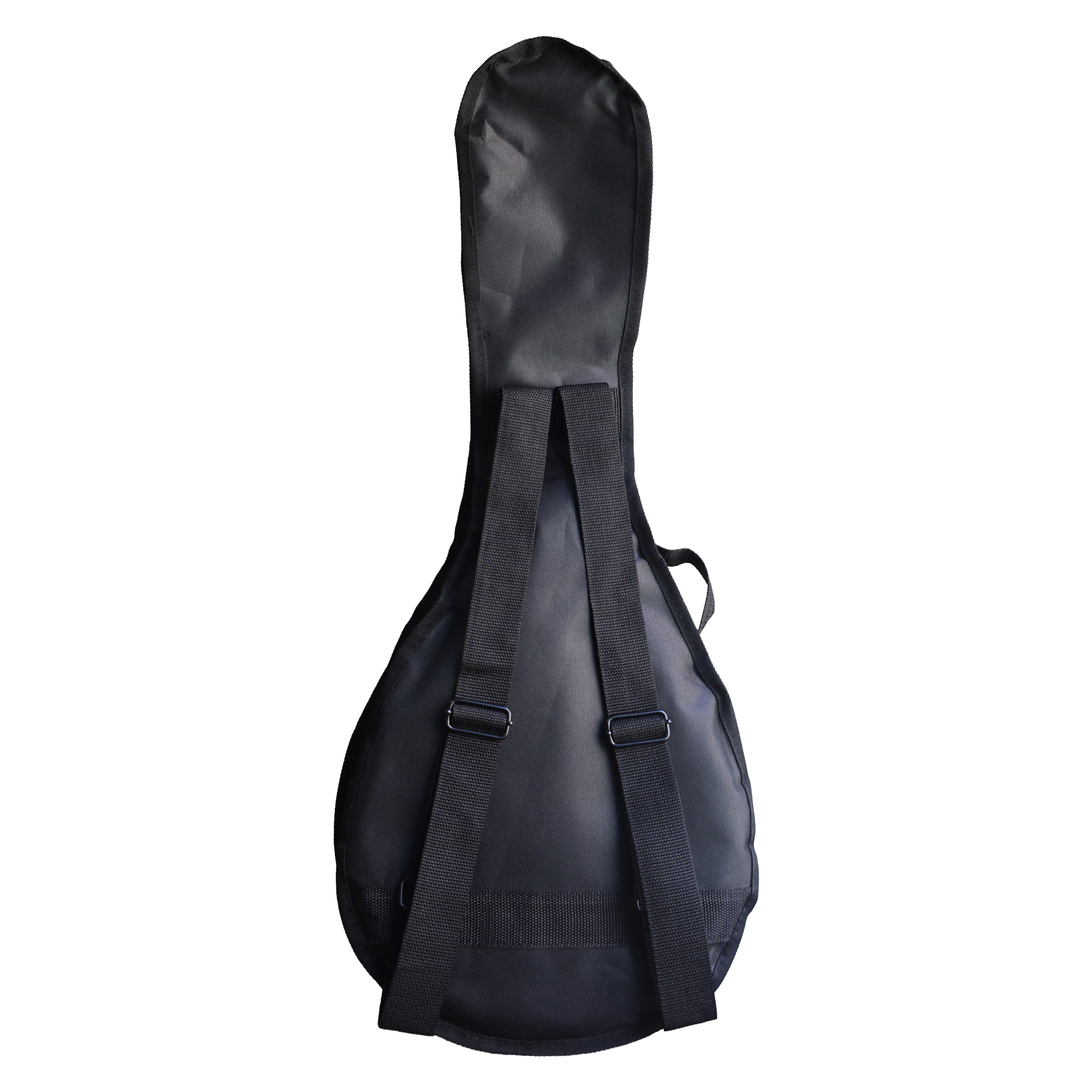 Mandolina 10 Cuerdas M10-STG Bilbao-8