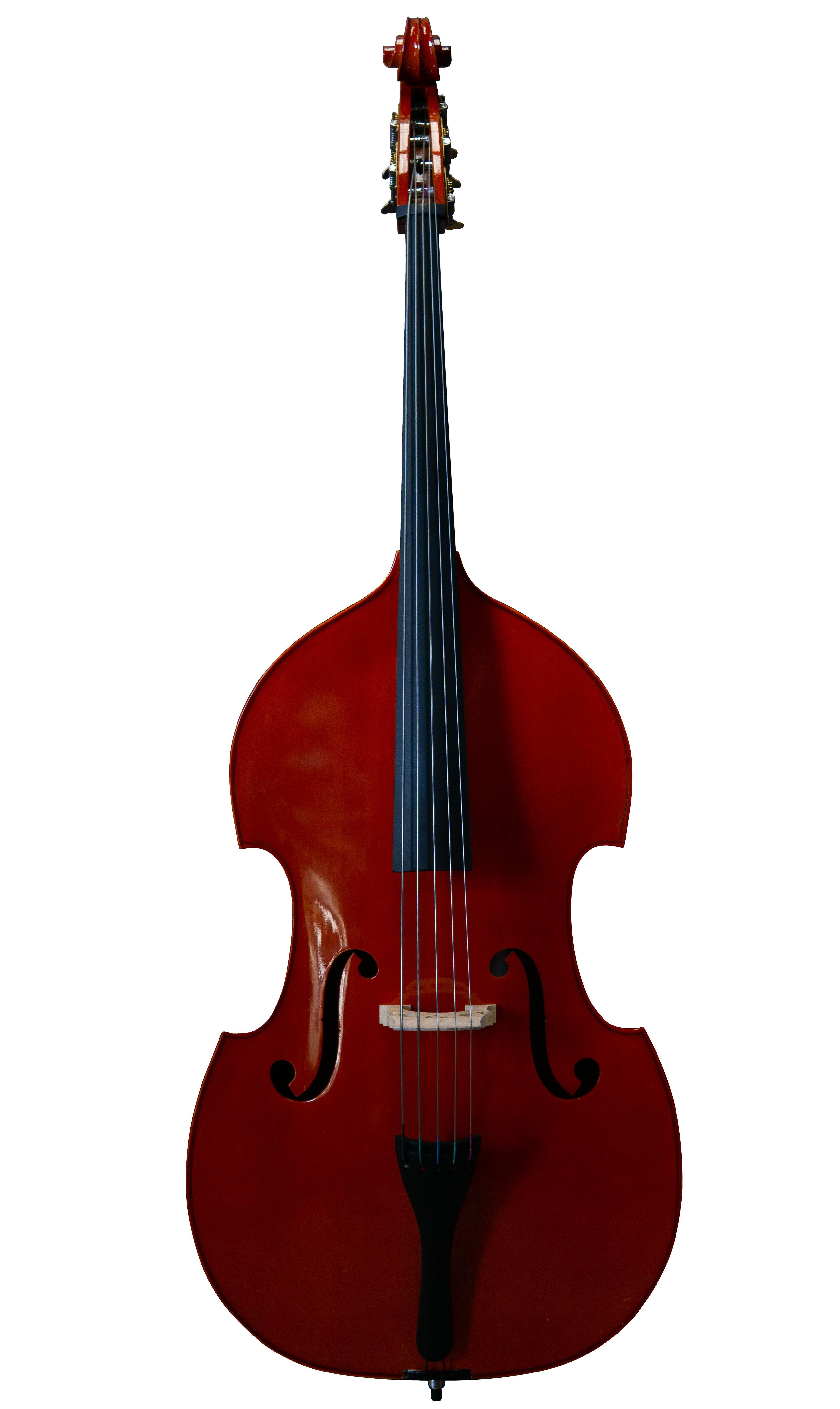 Contrabajo 5 Cuerdas Livorno 3/4 Lib-755-1