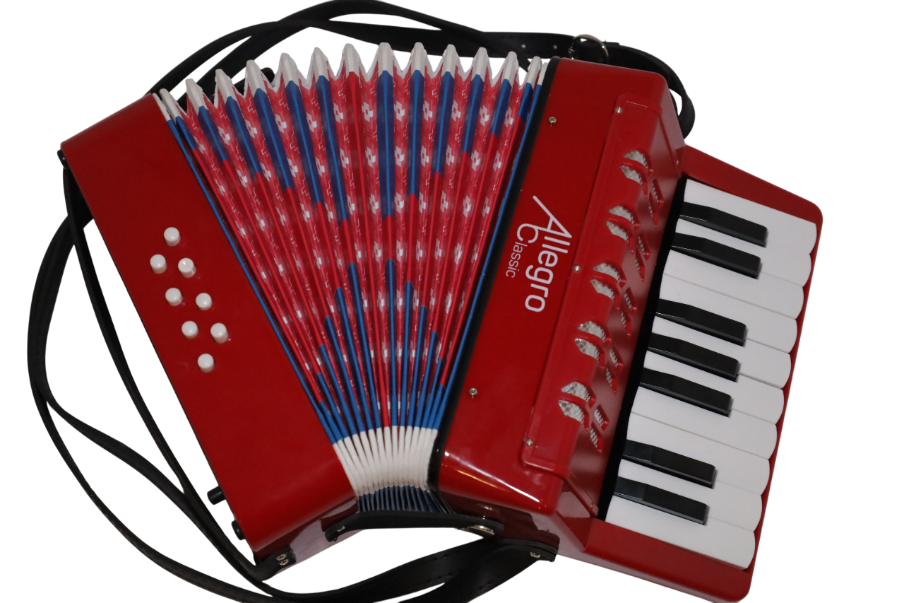 Acordeon de Plastico 17 Teclas 8 bajos ALL104-1RD Allegro-3