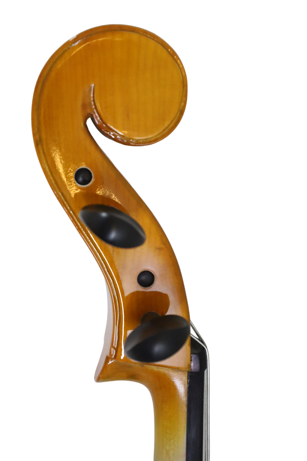 Violoncello Eléctrico Livorno Mahogany 4/4 LIC-100E-MA-4