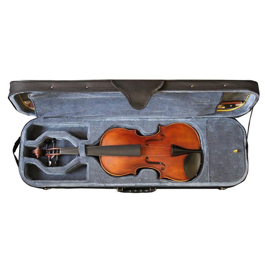Violin Livorno Profesional Liv-100-1-2