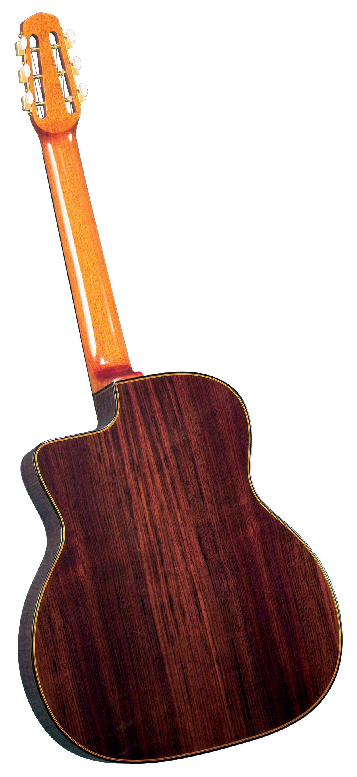 Guitarra Gypsy Jazz Profesional Gitane D-500-1