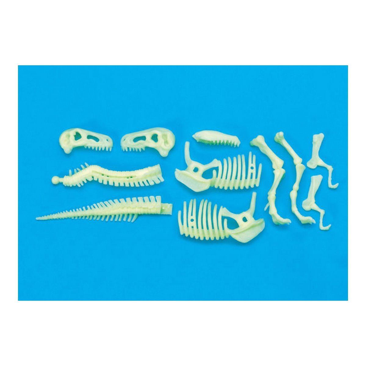 Esqueleto Dinosaurio T-Rex Luminoso Brainstorm-3