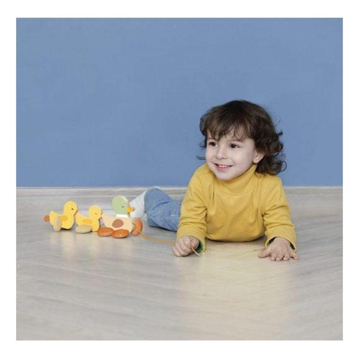 Familia de Patitos de Arrastre Classic World-2