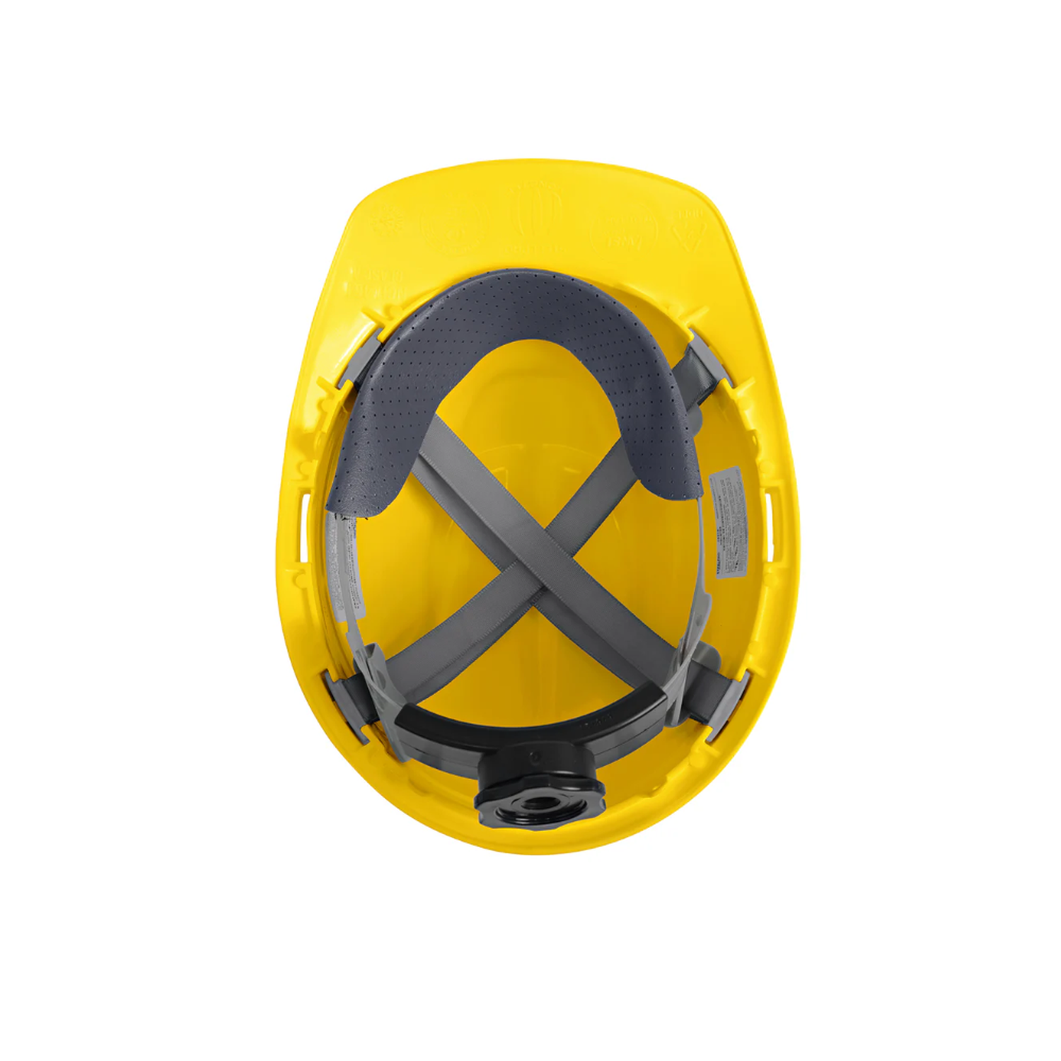 CASCO MONSTER ROLLER-4