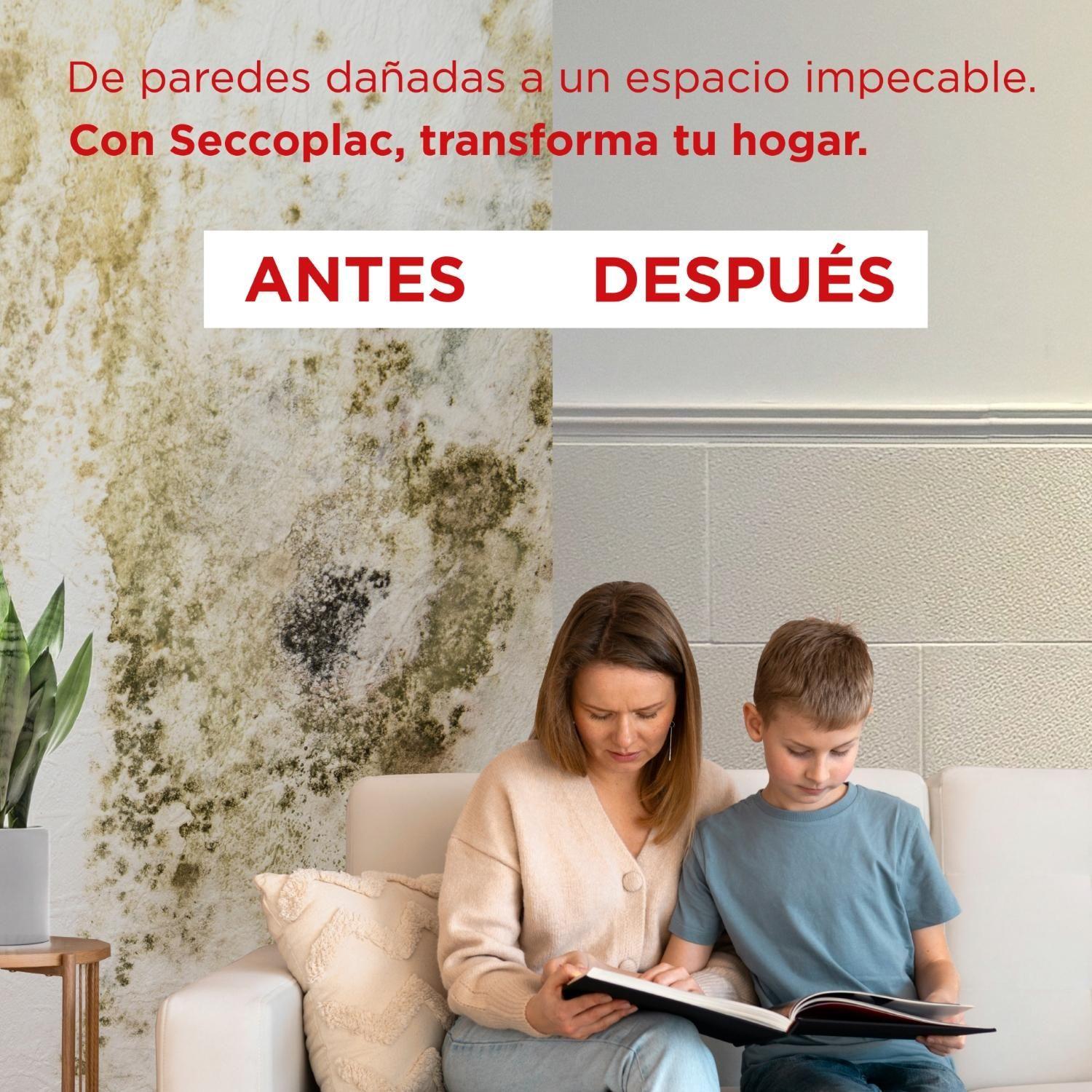 Panel Antihumedad Seccoplac Modelo París-2