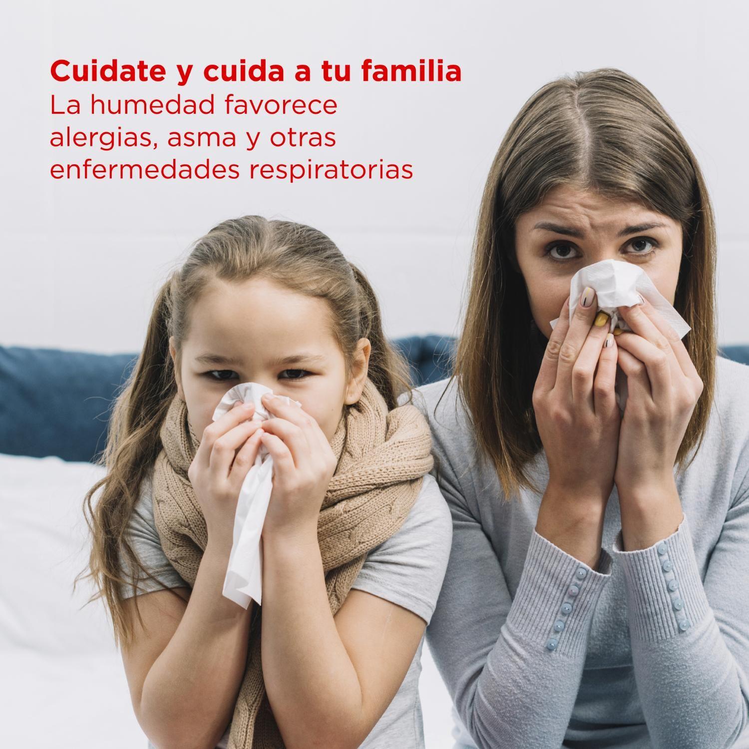 Panel Antihumedad Yeso Seccoplac Modelo Atenas-2