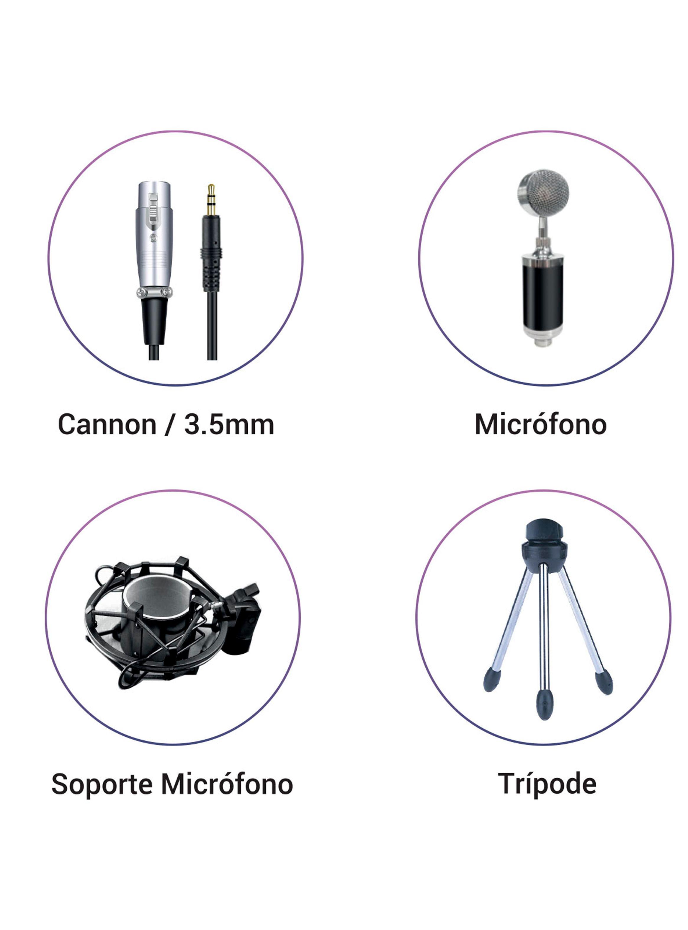 Kit Micrófono Condensador B5-Pro Studio 9060 Negro-2