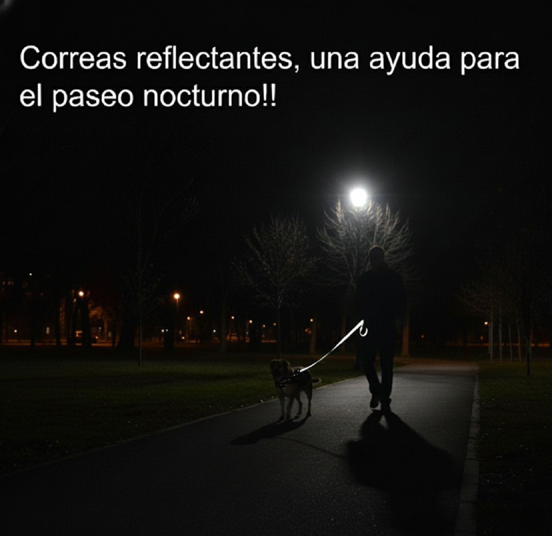 Correa Perro Mascotas Multifuncional Manos Libres Resistente Paseo Larga Reforzada Anti Tirones-8