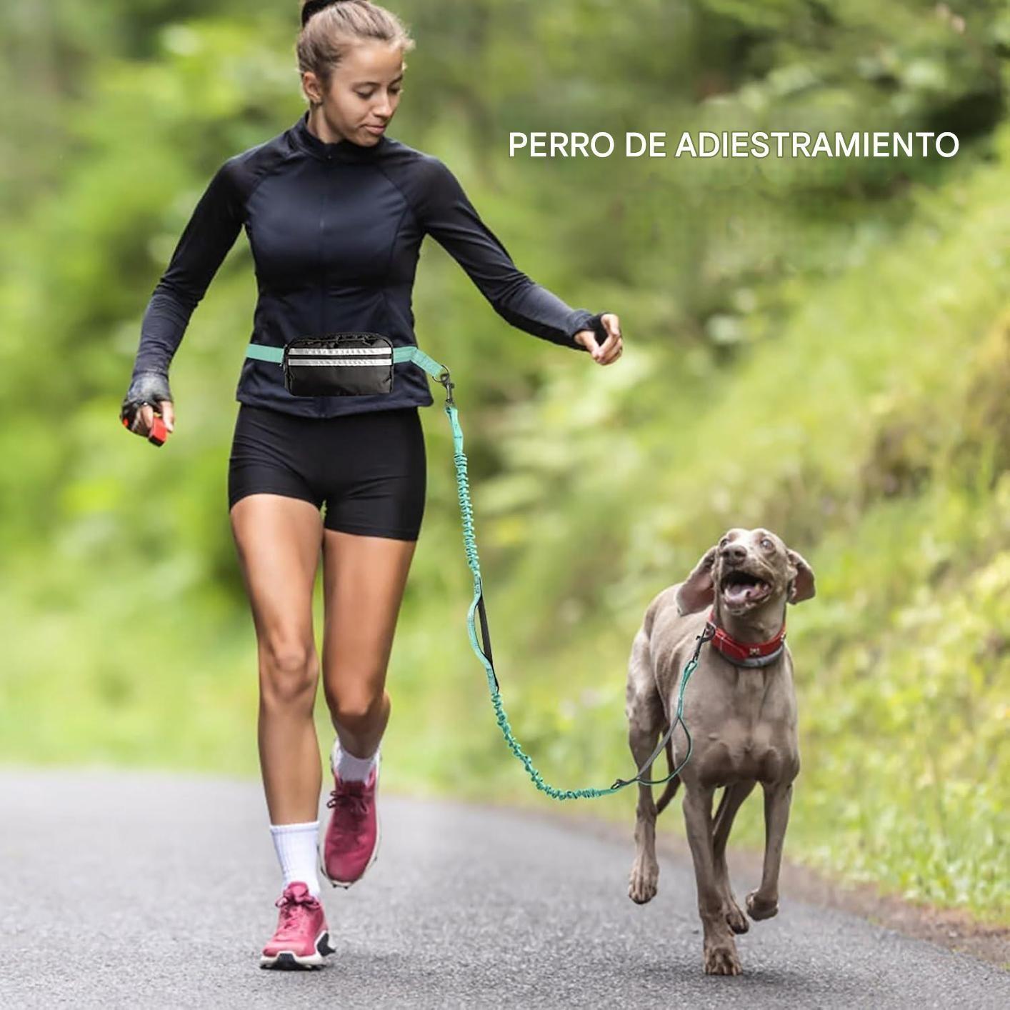 Correa Perro Mascotas Multifuncional Manos Libres Resistente Paseo Larga Reforzada Anti Tirones-9