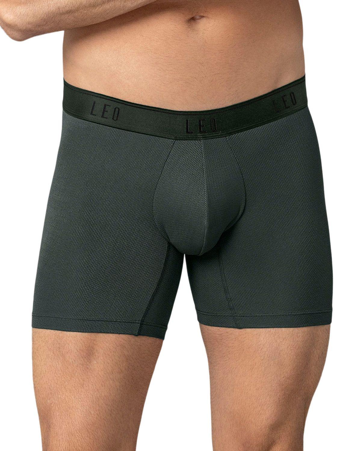 Leo Boxer Masculino Largo 033300N Gris Elástico Verde-0