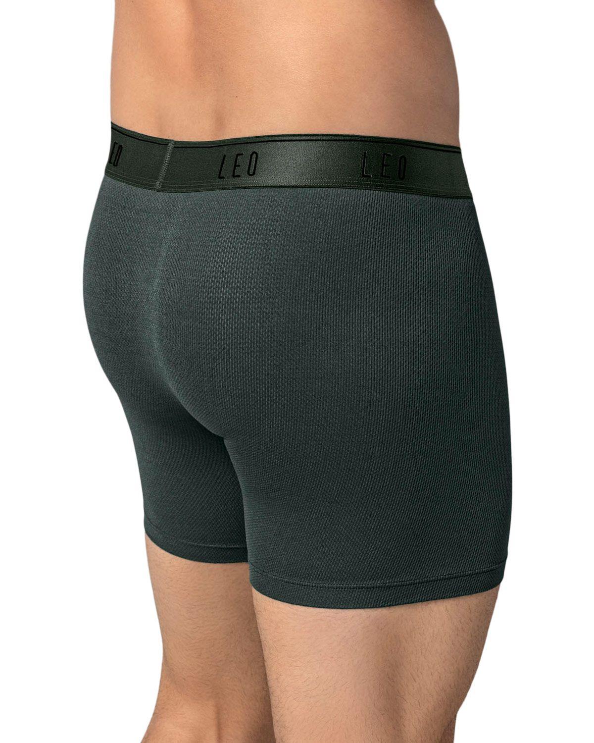 Leo Boxer Masculino Largo 033300N Gris Elástico Verde-1