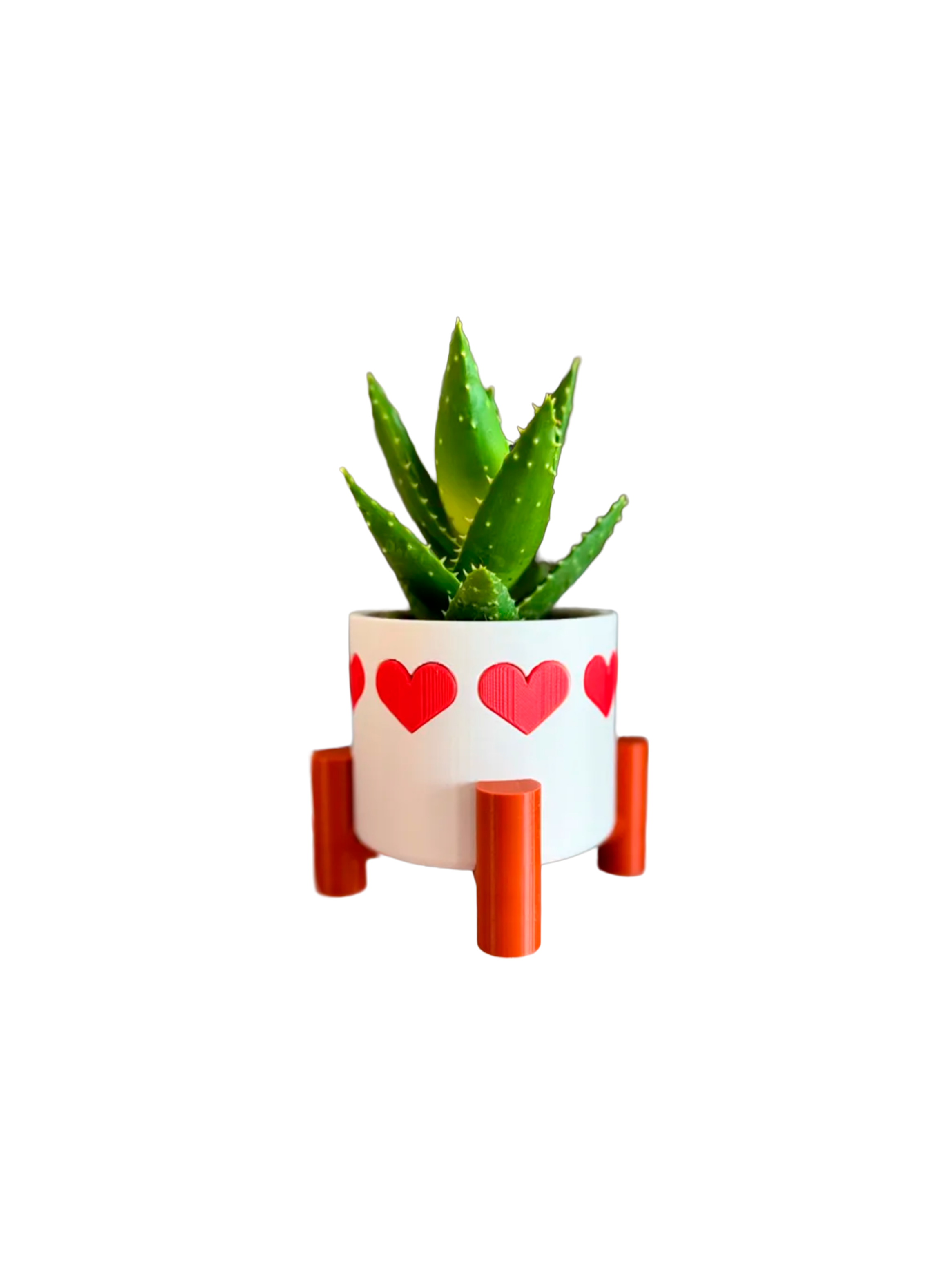 Maceta de corazones - San Valentín-0