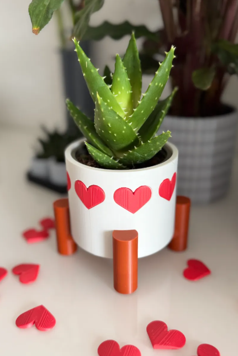 Maceta de corazones - San Valentín-3