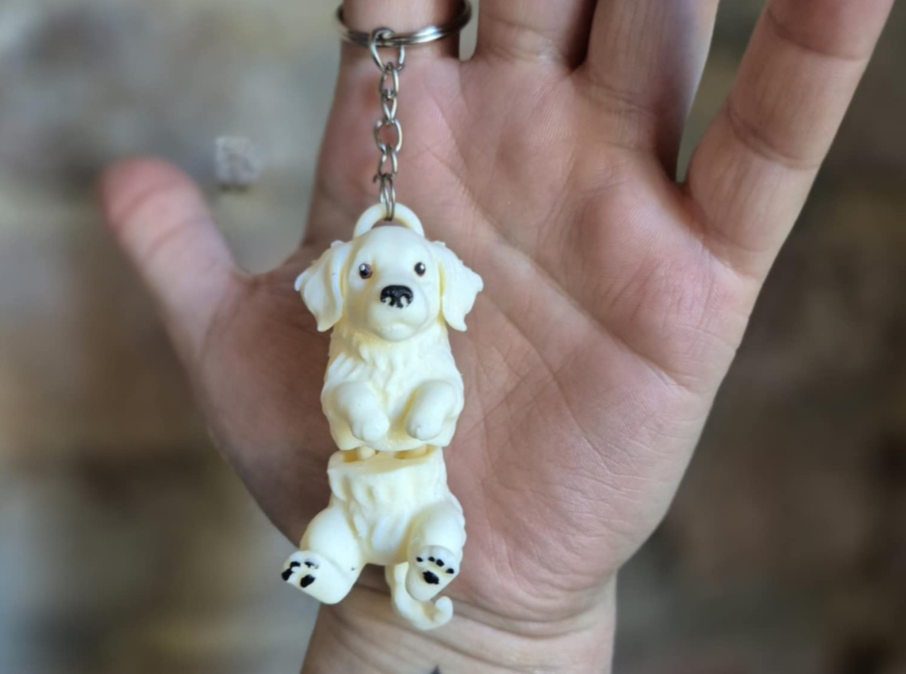 Llavero de Golden Retriever-2