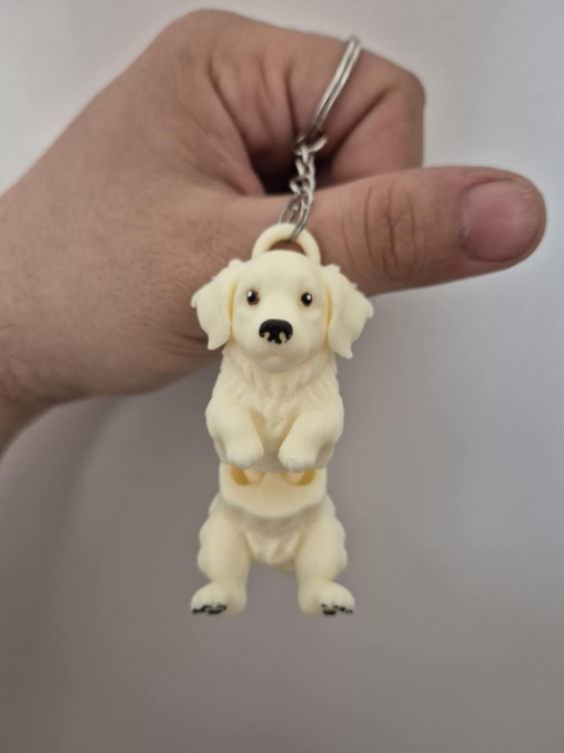 Llavero de Golden Retriever-3