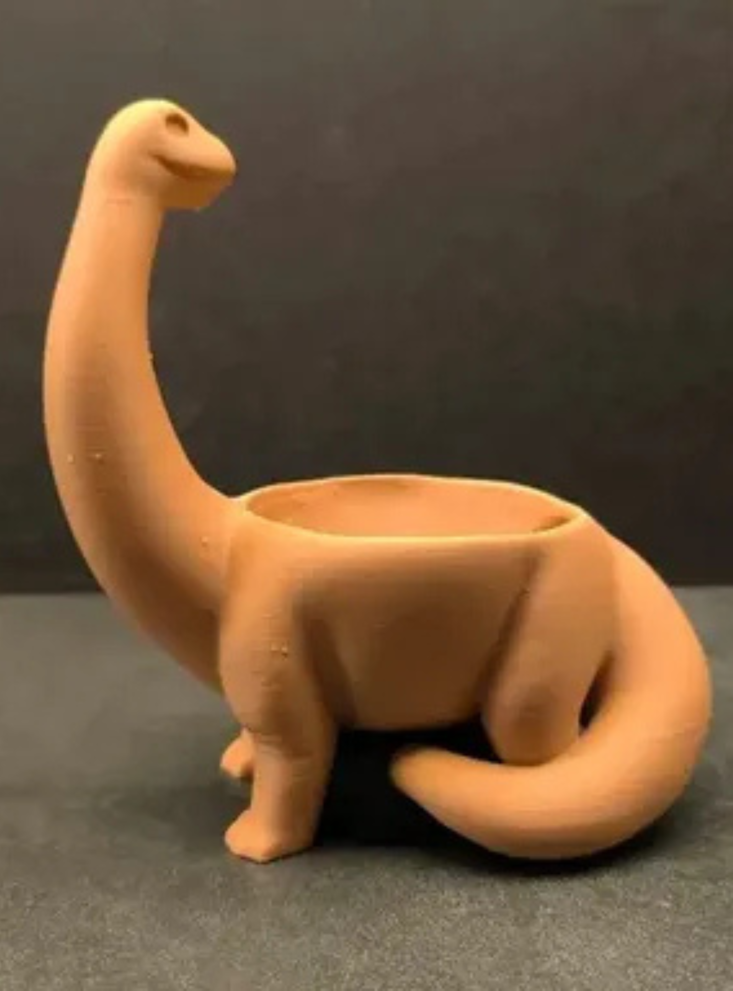 Macetero - Diseño Dinosaurio-2