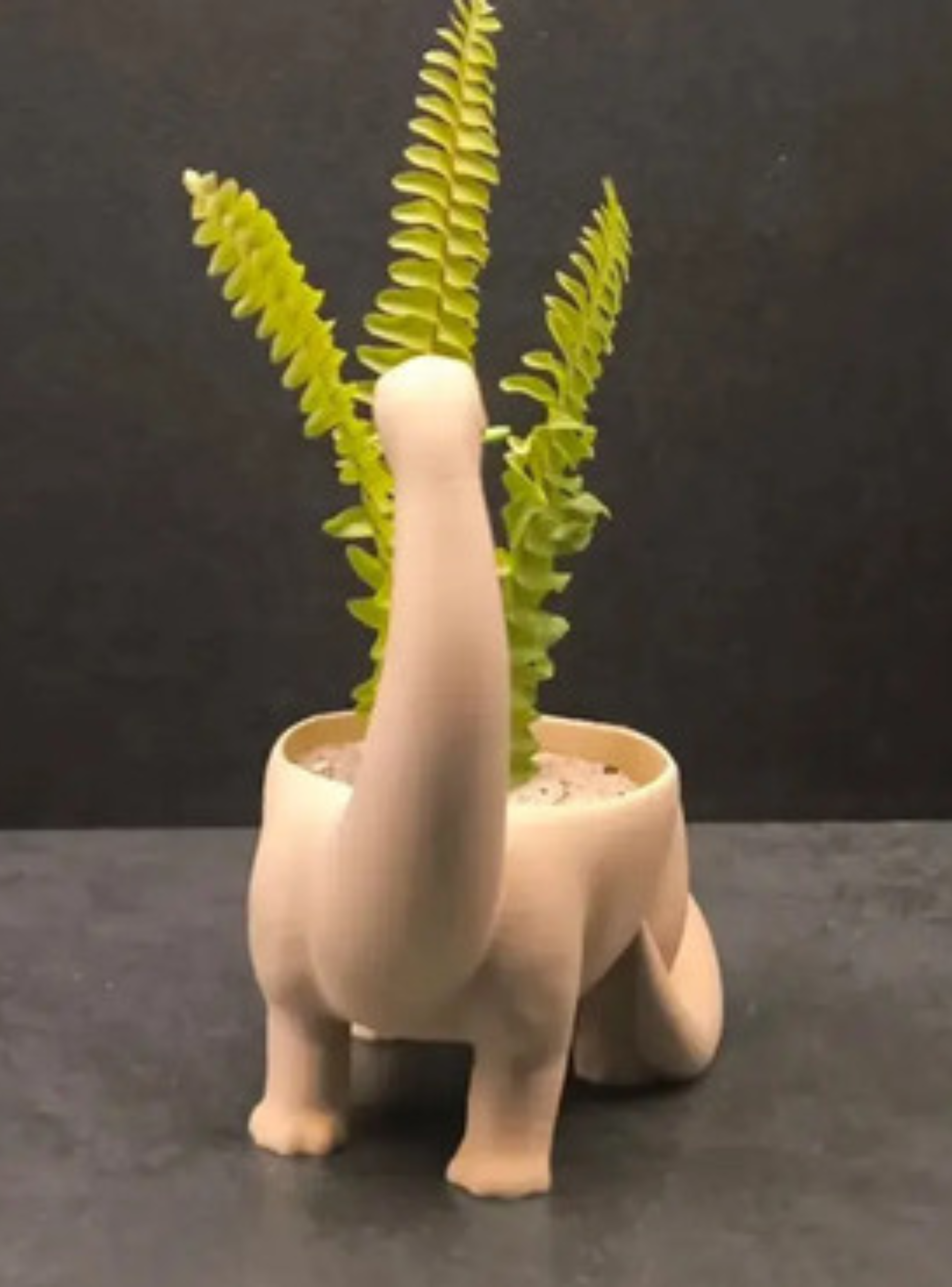 Macetero - Diseño Dinosaurio-3