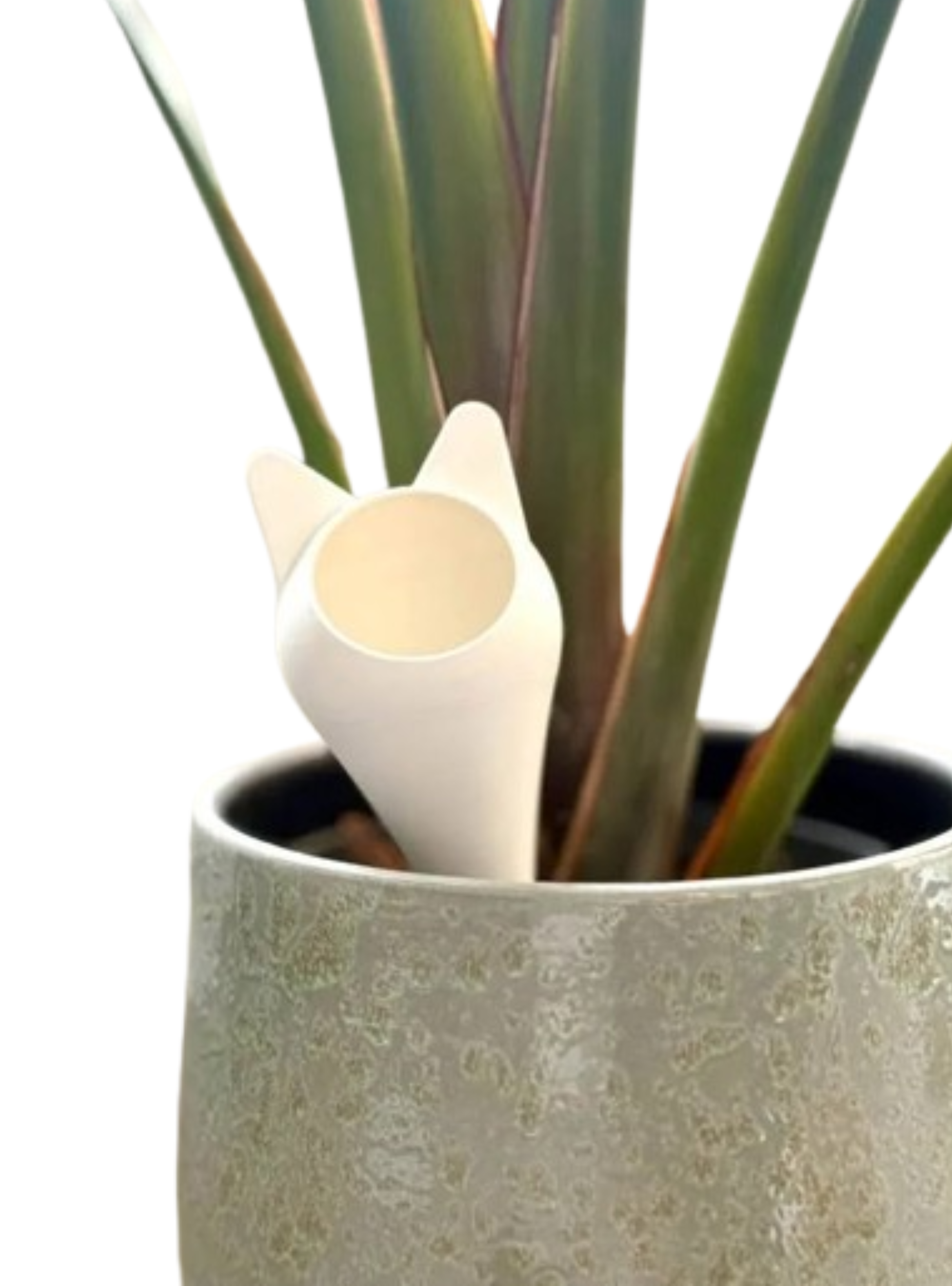 Globo de riego para platas - Gato-1