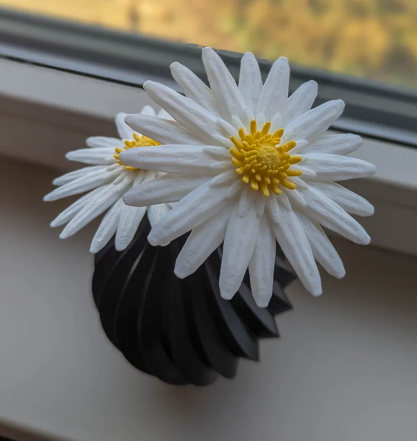 Figura de Margaritas | Flores Modulares-2