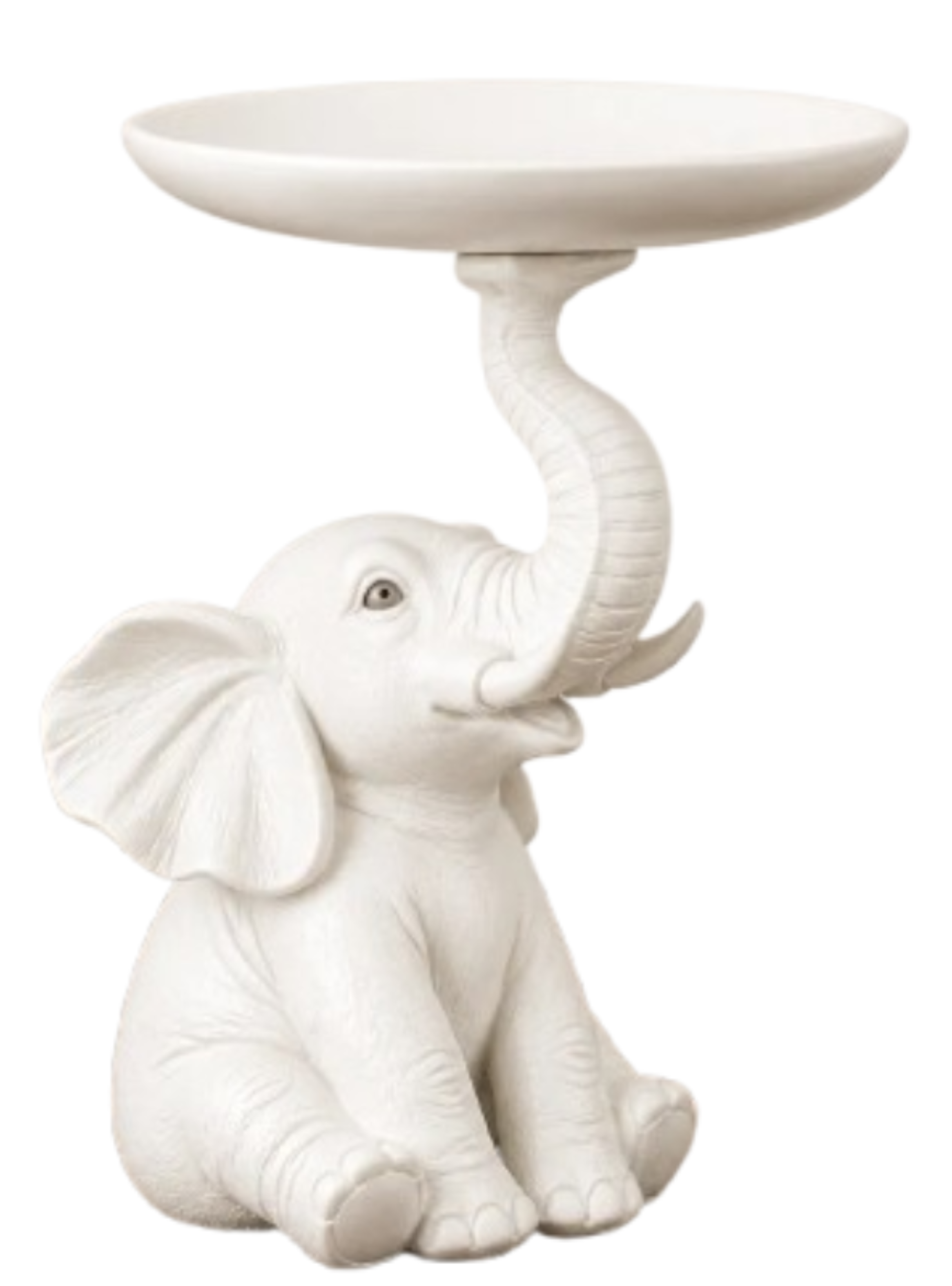 Decoración Elegante Prints Patro - Estilo Elefante-0