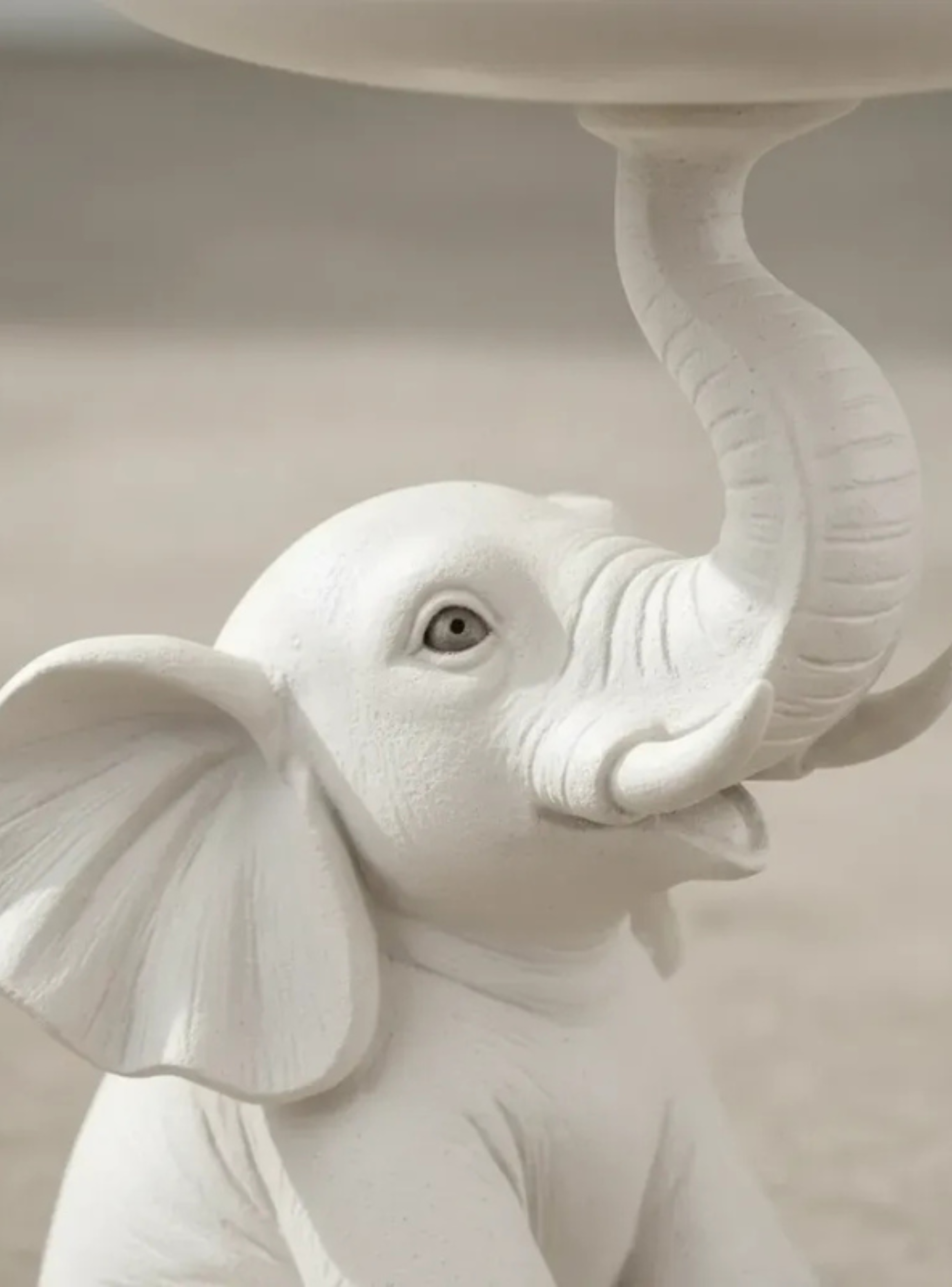 Decoración Elegante Prints Patro - Estilo Elefante-2