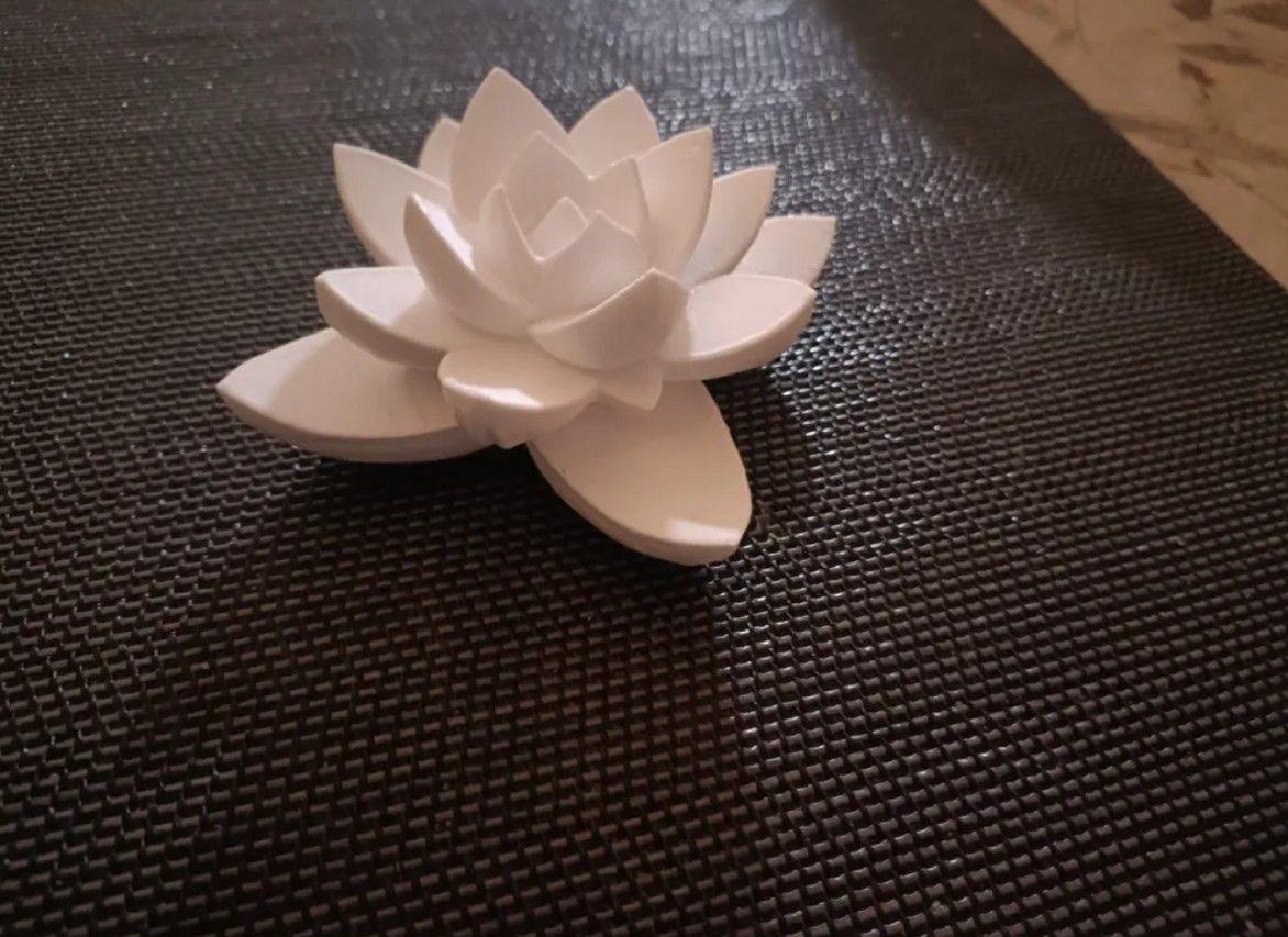 Decoracion Planta Suculenta-3