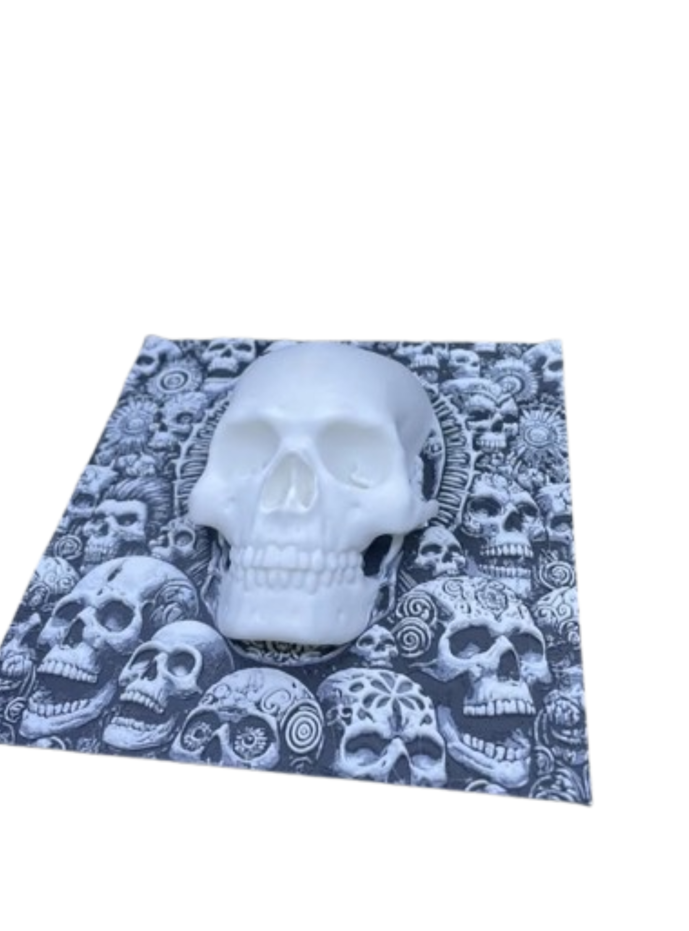 Cuadro decorativo - Estilo Calavera-2