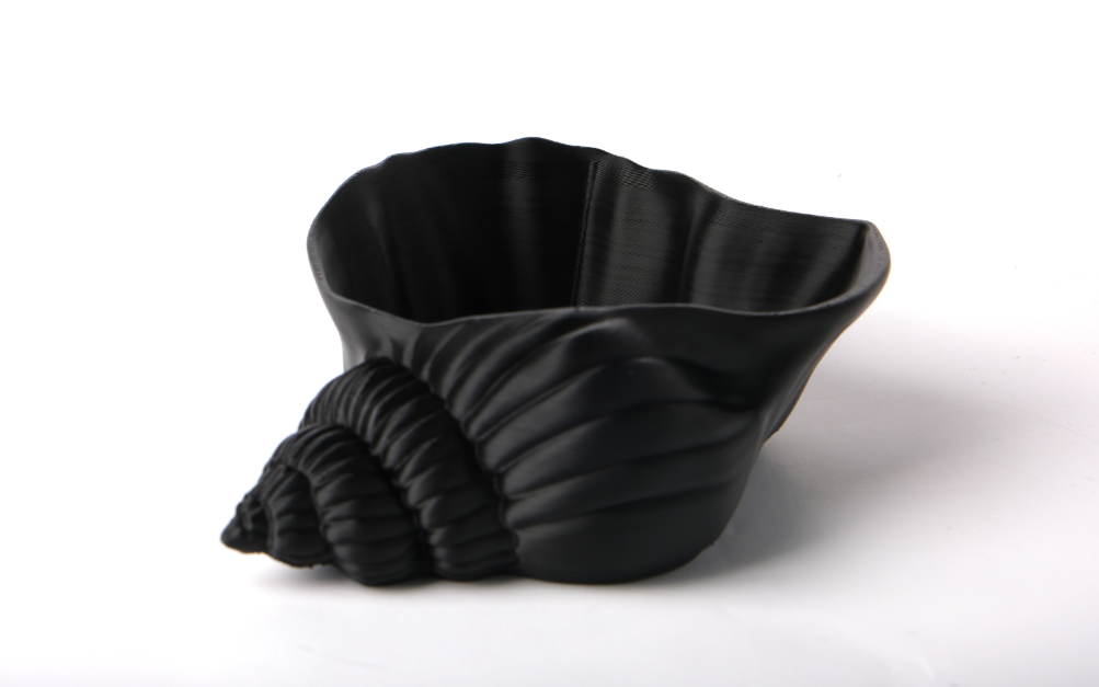 Cuenco Decorativo- Forma de Concha-2