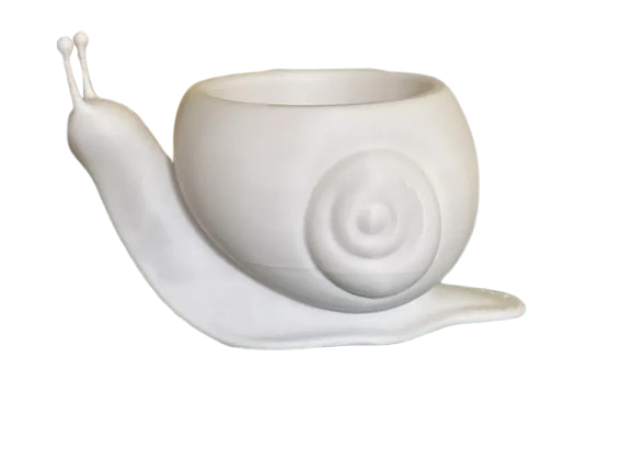 Macetero de Caracol-2