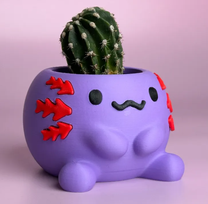 Macetero - Diseño Axolotl-2