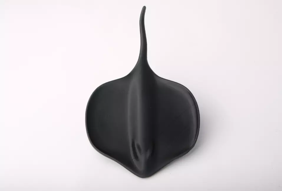 Bandeja Decorativa de Mantarraya-2